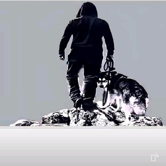 北方的狼