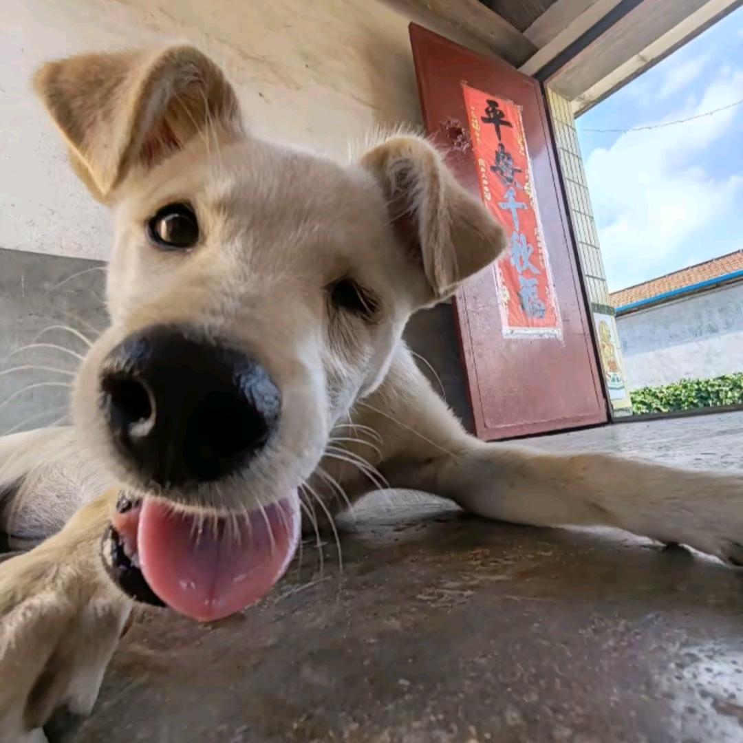 零一秒