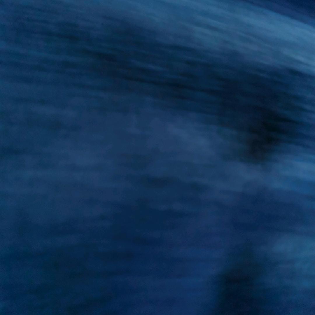 ……浮躁