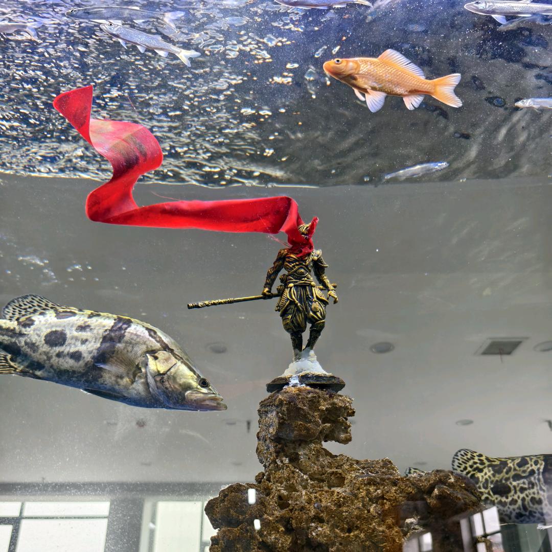 牛魔猴路亚钓鱼（团队招人）直播带货拍段子