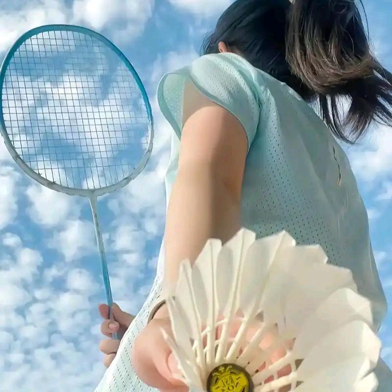野生羽球人🏸