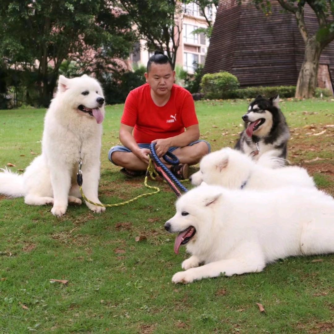 萨摩爸爸