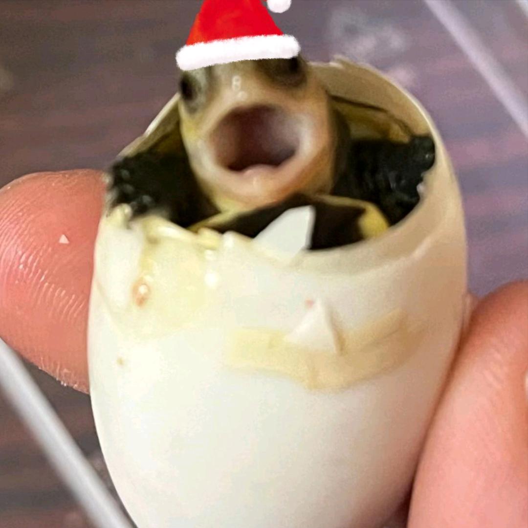 🌈二不二🌈🌈