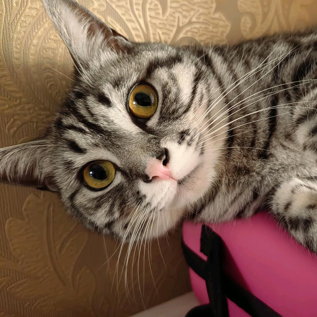 飒小姐