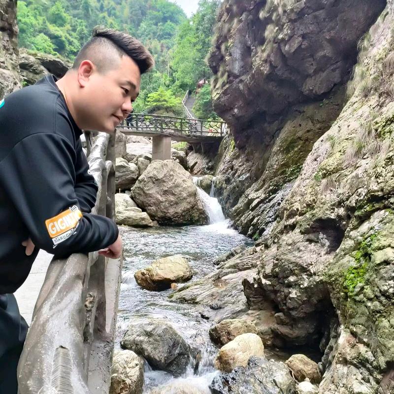 风没来过