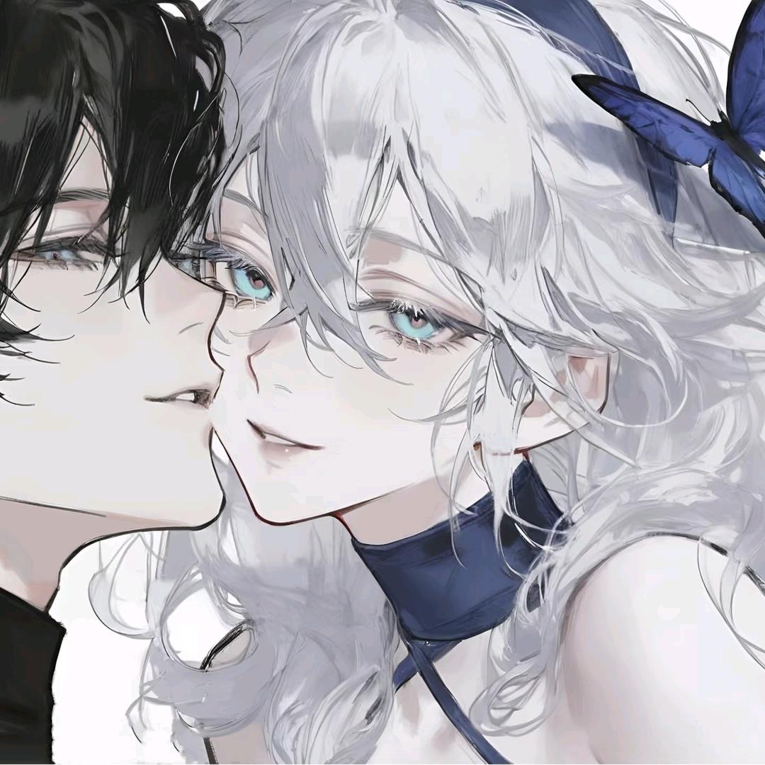 狐狸🦊