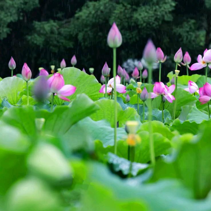 专业承接室内.外涂料