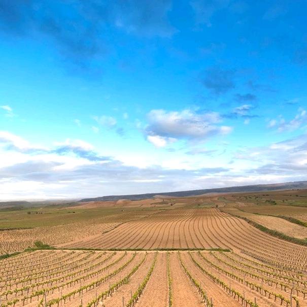 遗弃世界的孩子