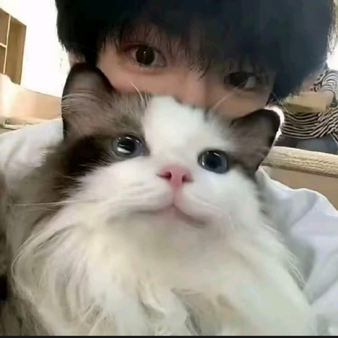 呵呵呵