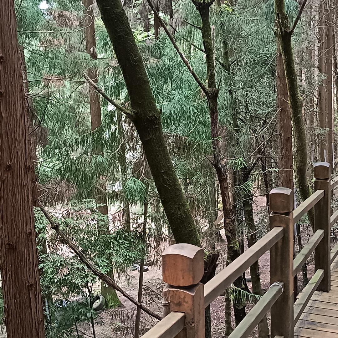 ཀ᭄可惜ꦿ💞没ᩚ如ᩚ果᭄࿆এ