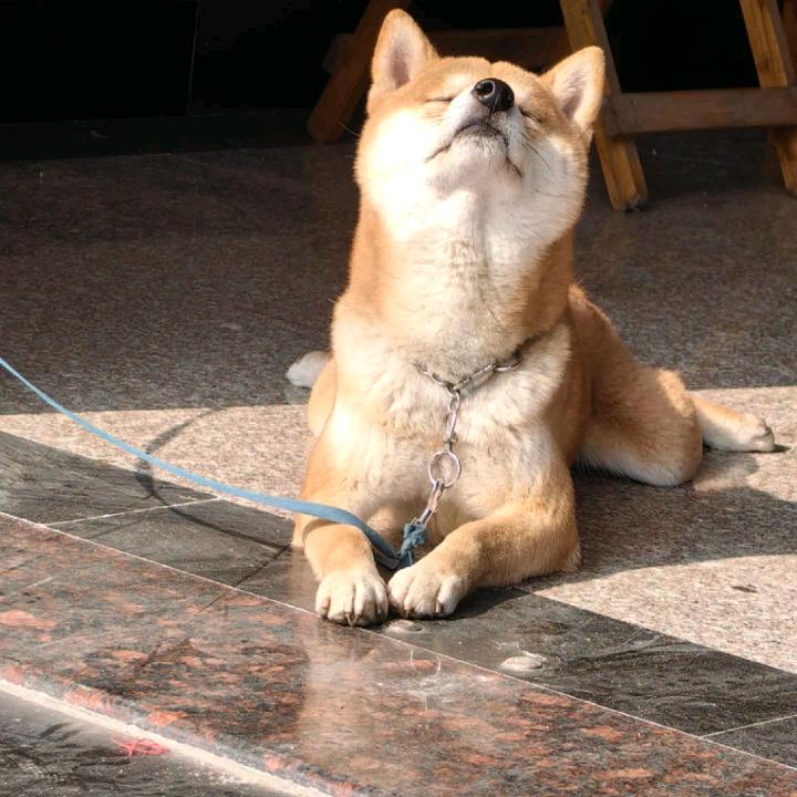 动漫解说
