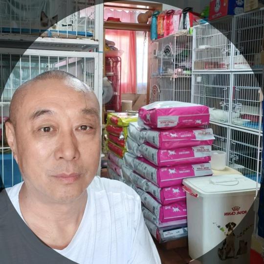 廊坊猫舍(老久名猫)