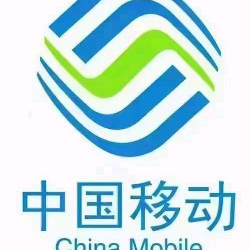中国移动   孙静