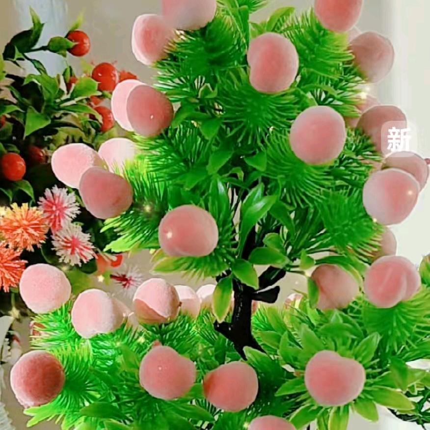 张姐的微笑（小号）