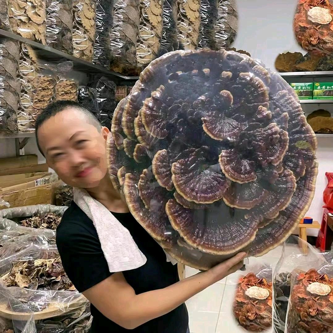 清平雯姐滋补行