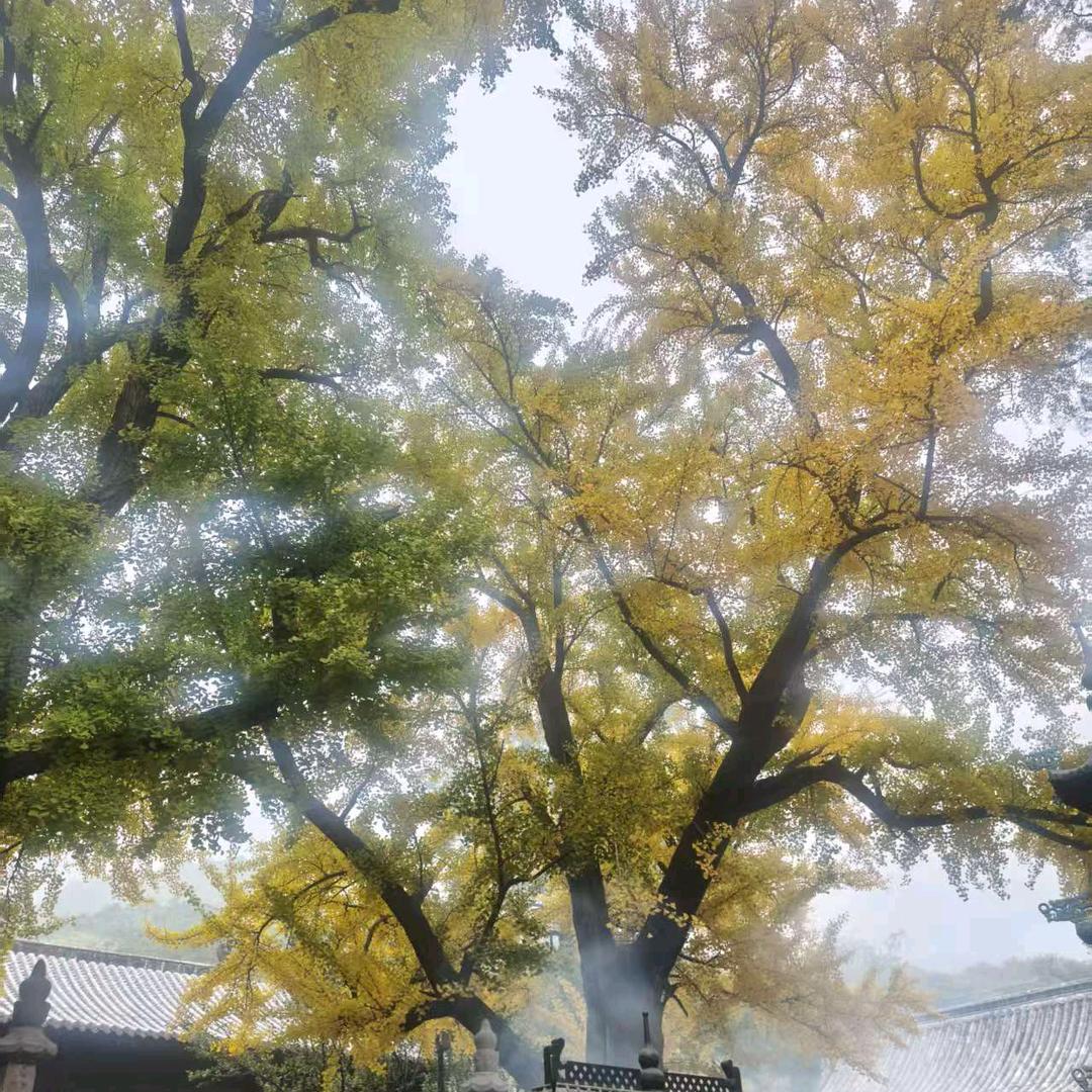 人心太凉@别太善良