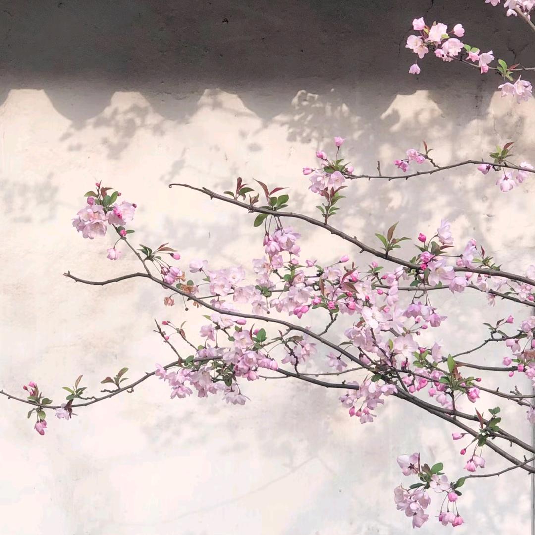 落棠赋原创手工