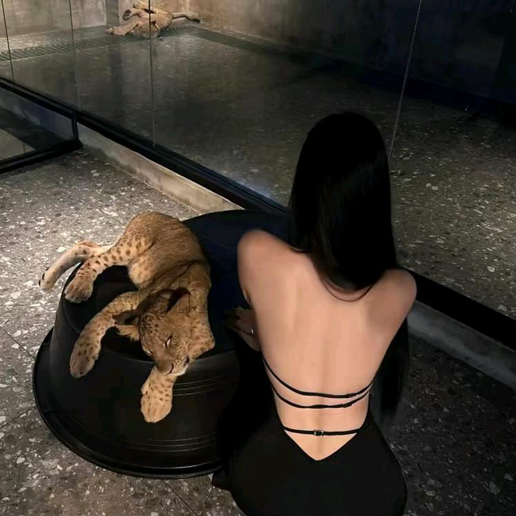 ㅤ￰ㅤ欧尼酱晴