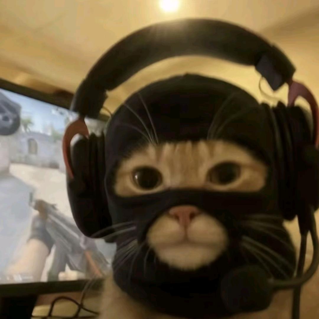 80%