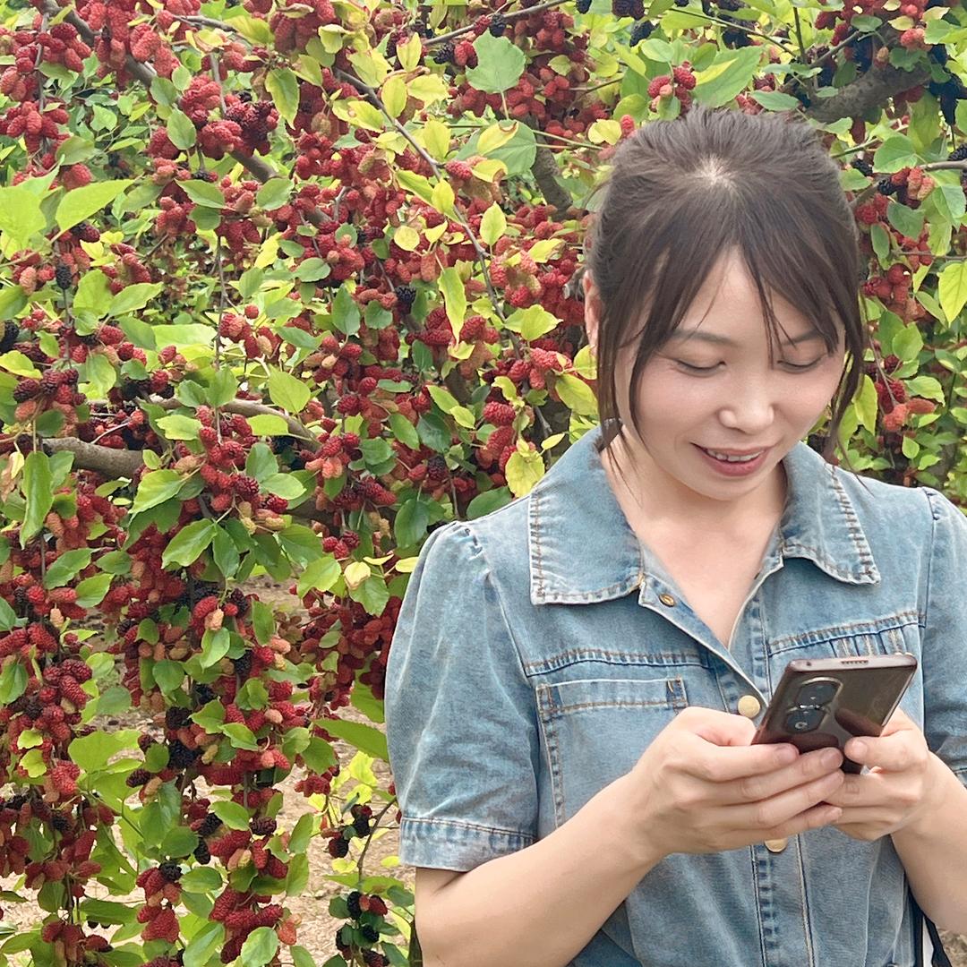 宋 姐