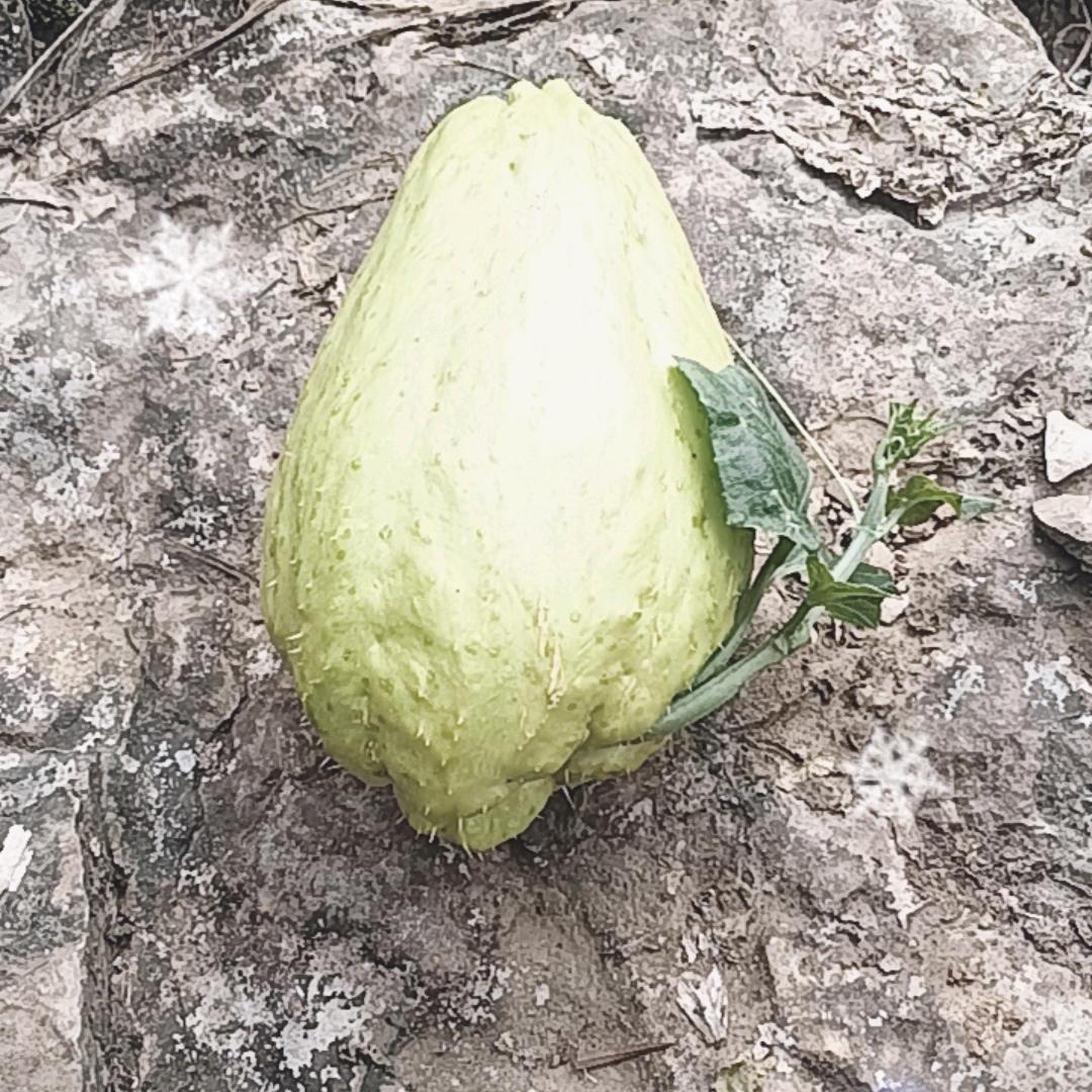 直来直去，