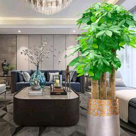 六零后孙姐🌺🌺