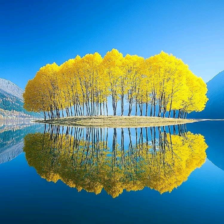 东哥