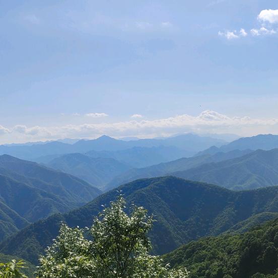 和光同尘