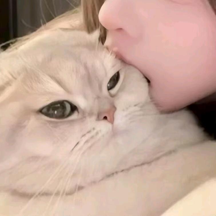 重生之我兄弟是位道士 ◔.̮◔✧