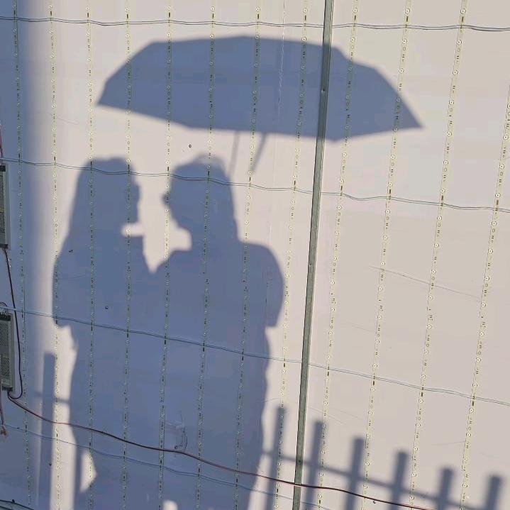 拜见球球大王的王