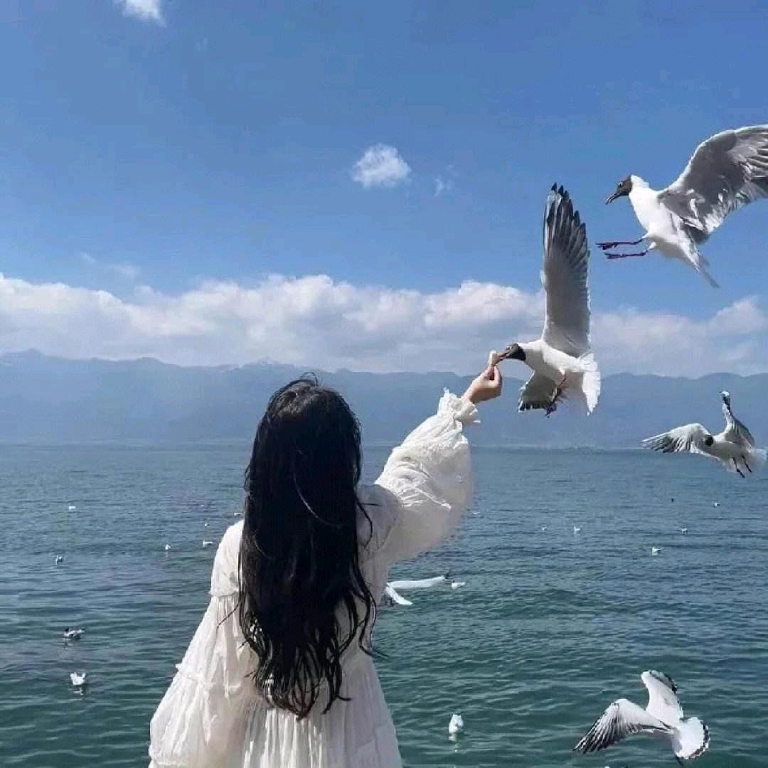 沧海