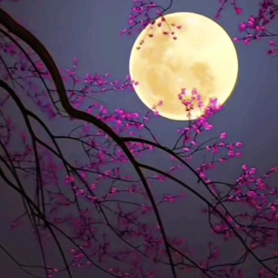 平安是福