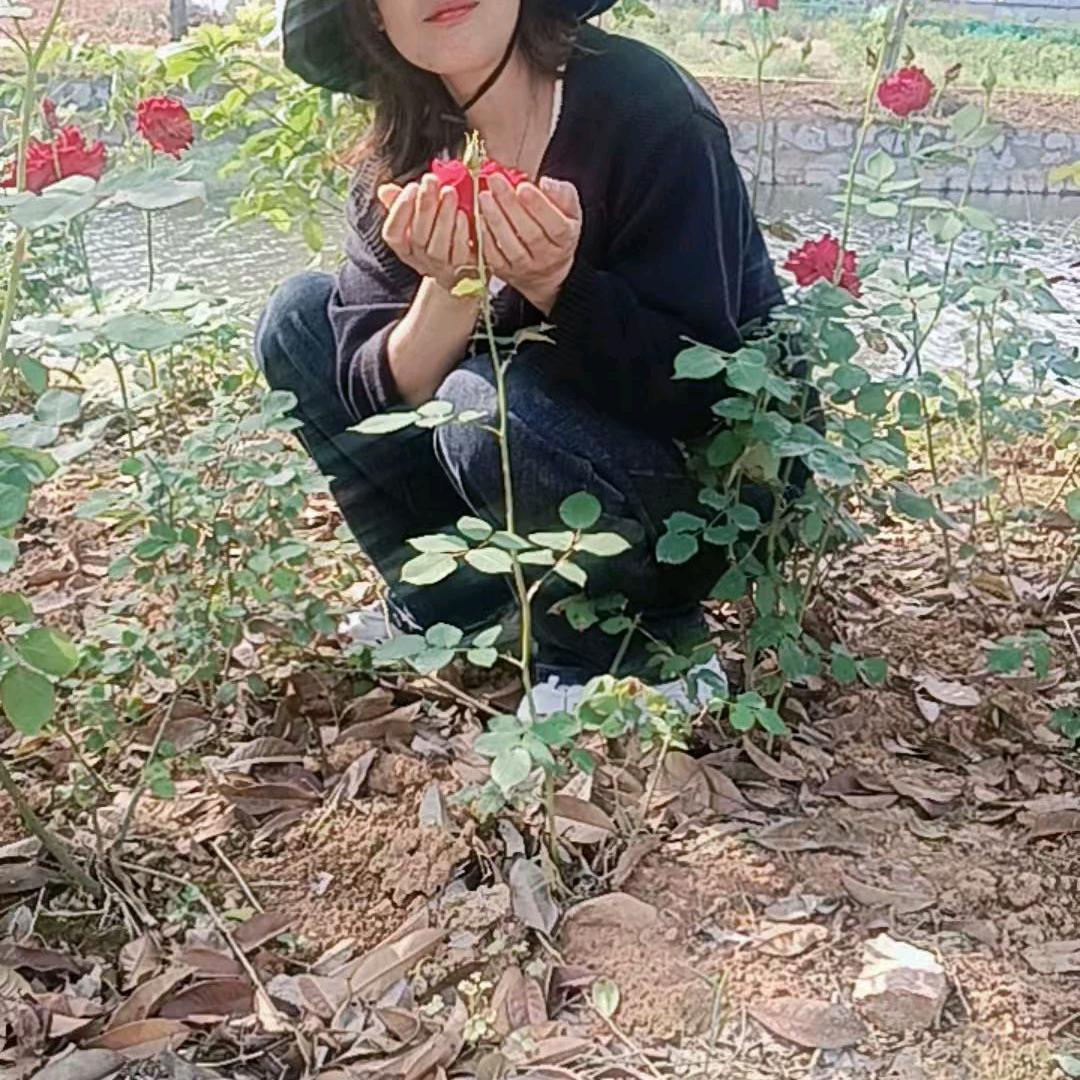 ❤石门盼盼❤