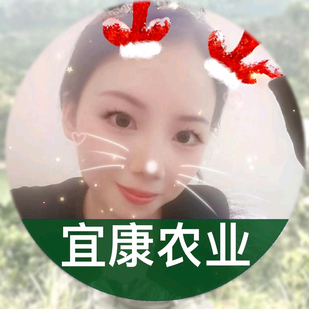 海南宜康农业阿红