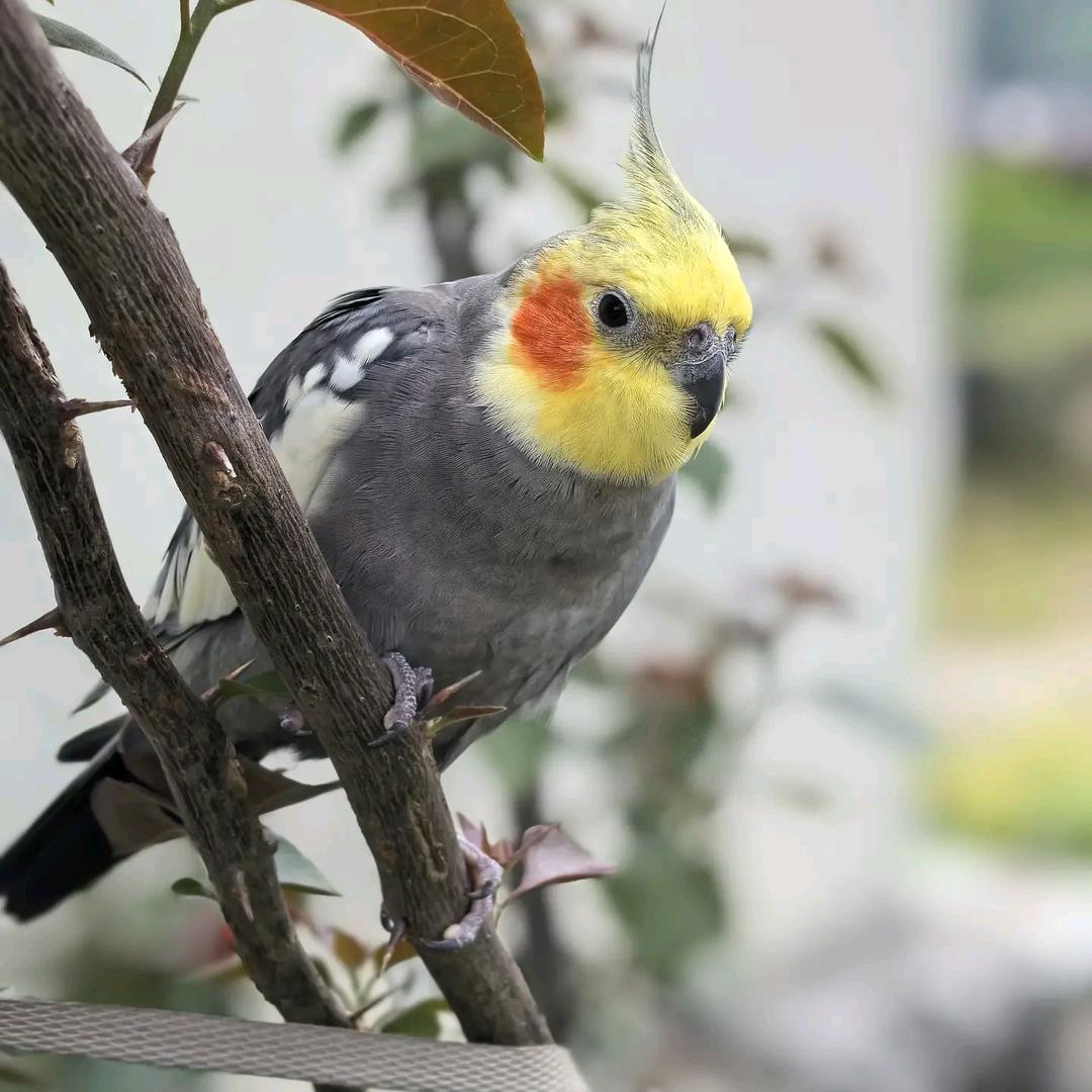 水哥~半桶水的水