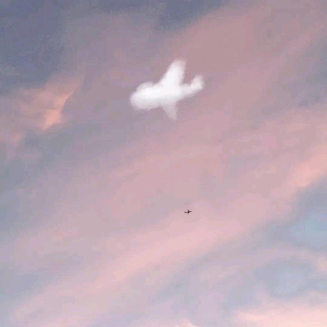 橙子橙子橙