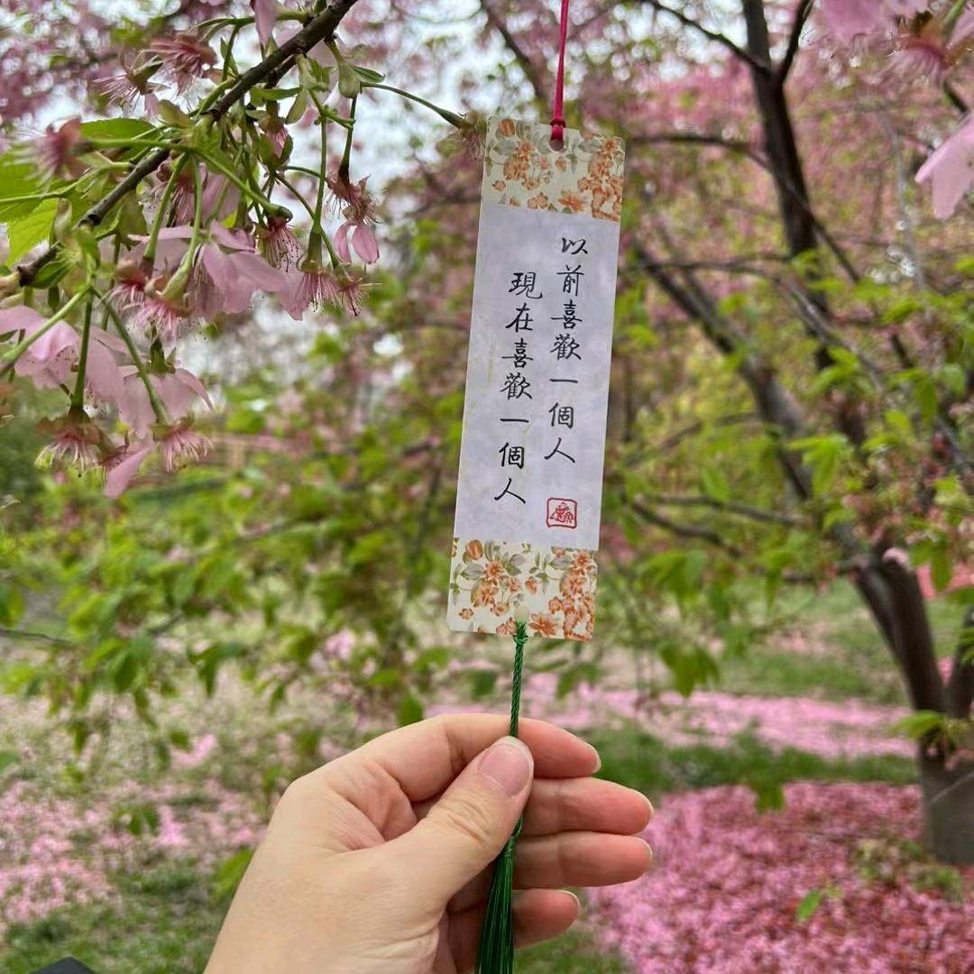 小助理02