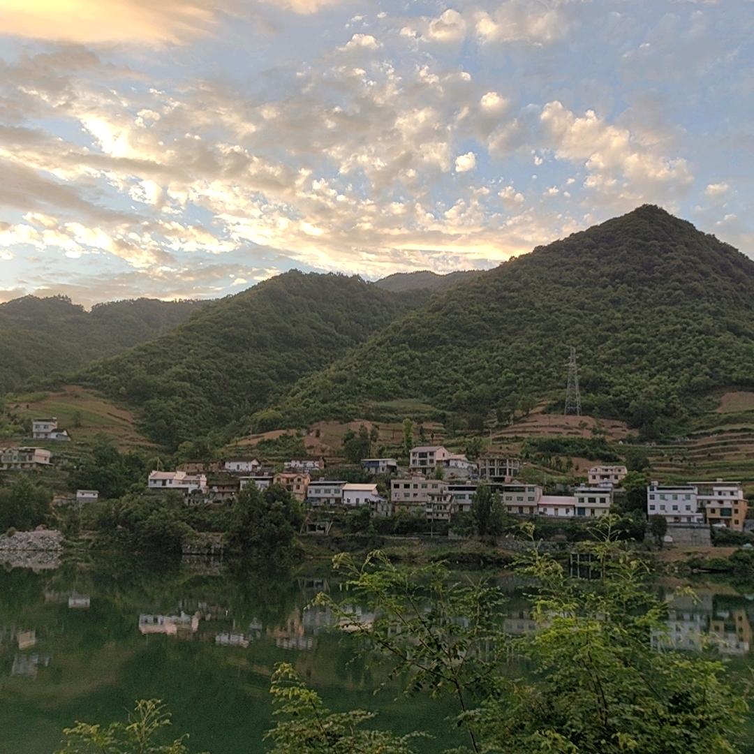 葡萄是只小奶狗