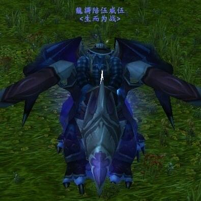 魔兽世界龍哥竞技
