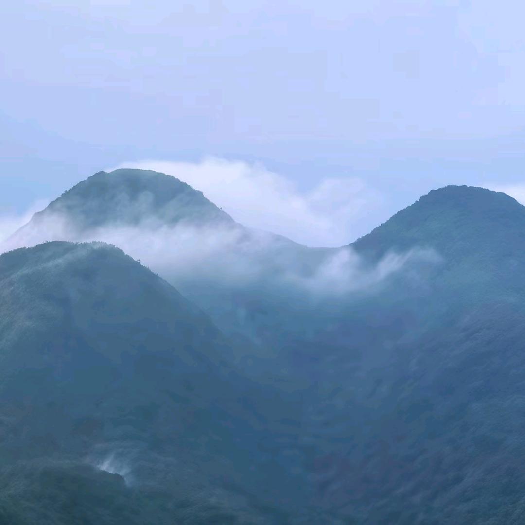 柏润