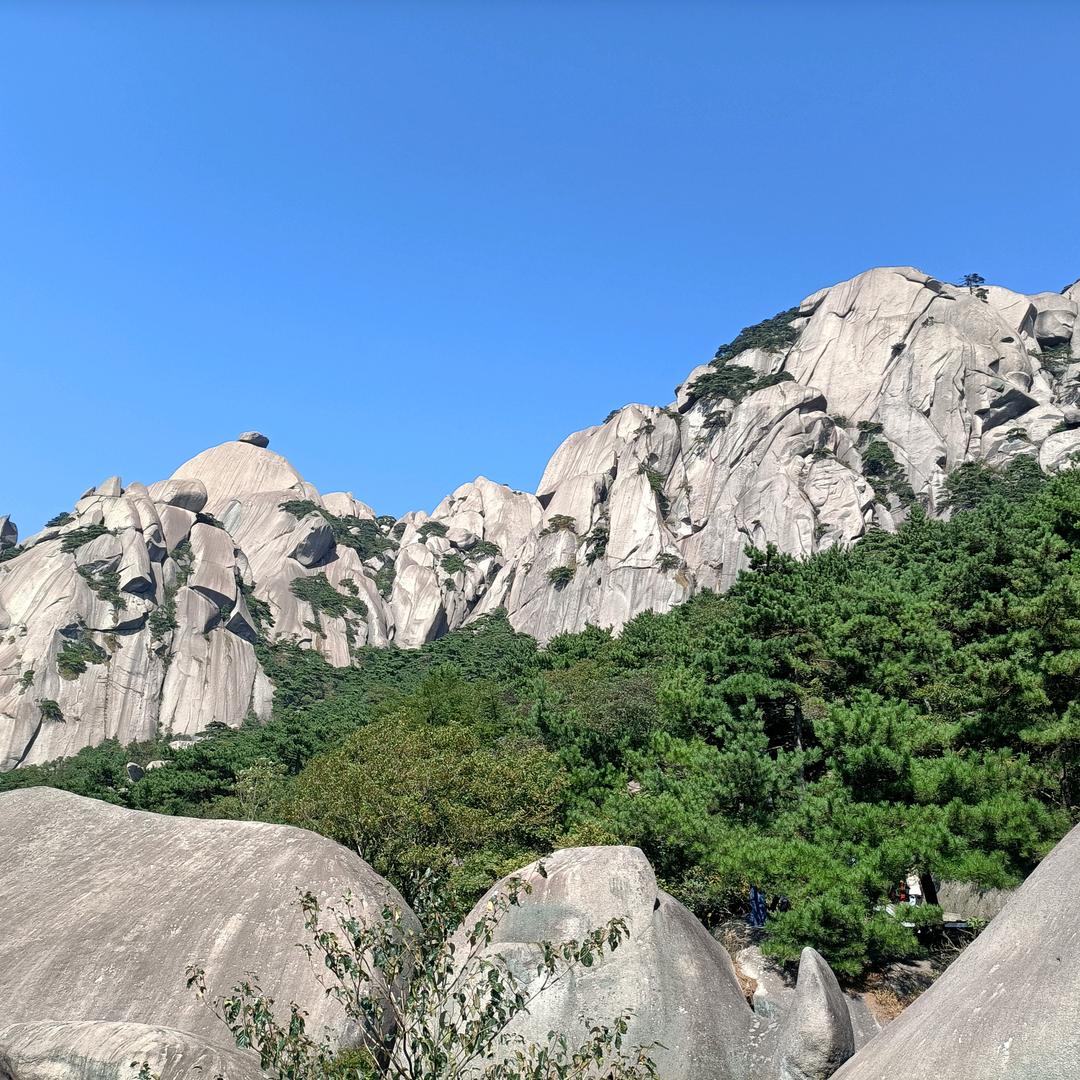 一月优选