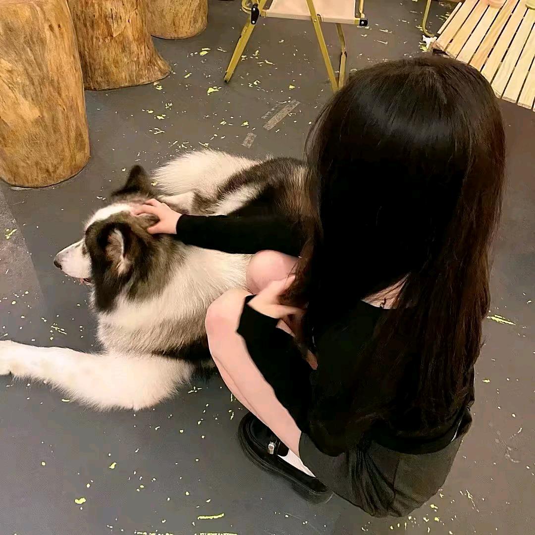 华中刘亦菲