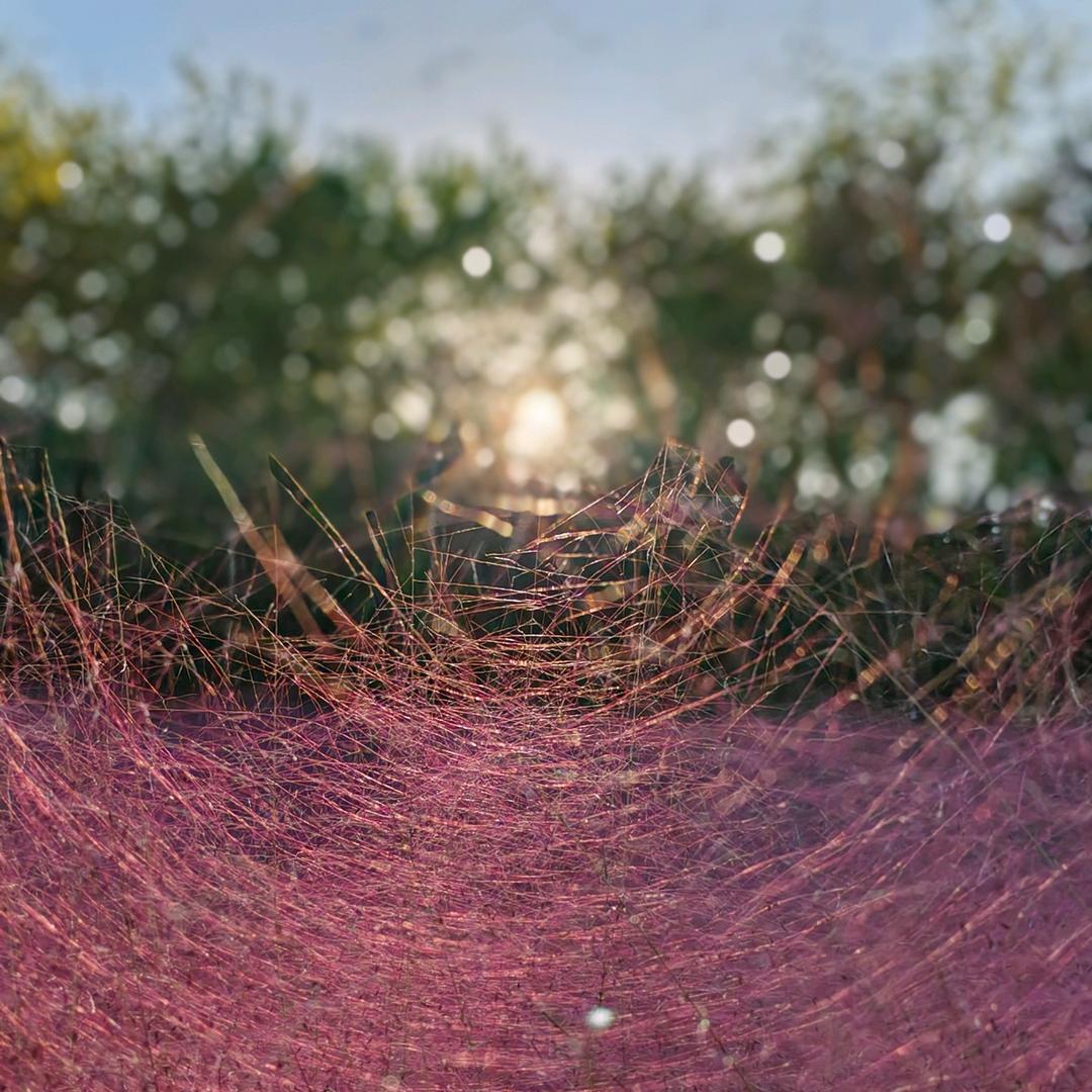 小酒窝滴哎呀呀