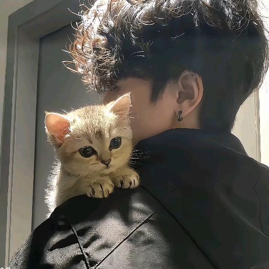 睡个好觉吧