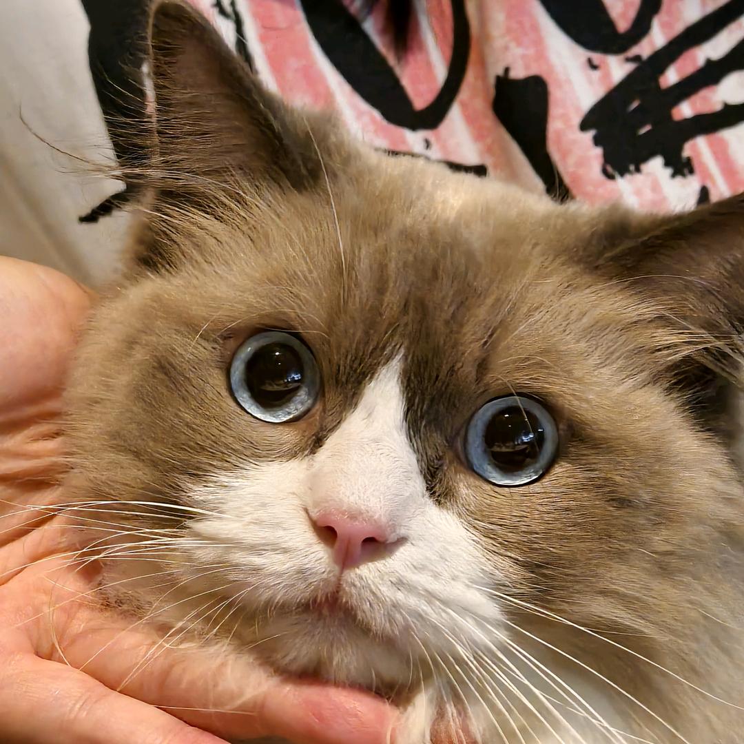 我要创死全世界