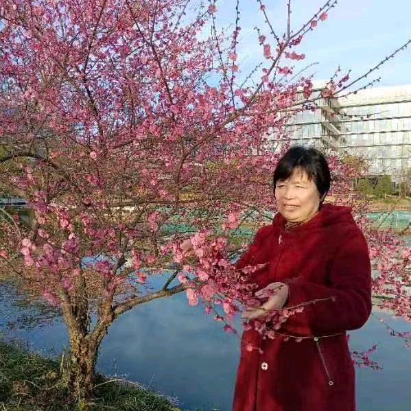 农村姐