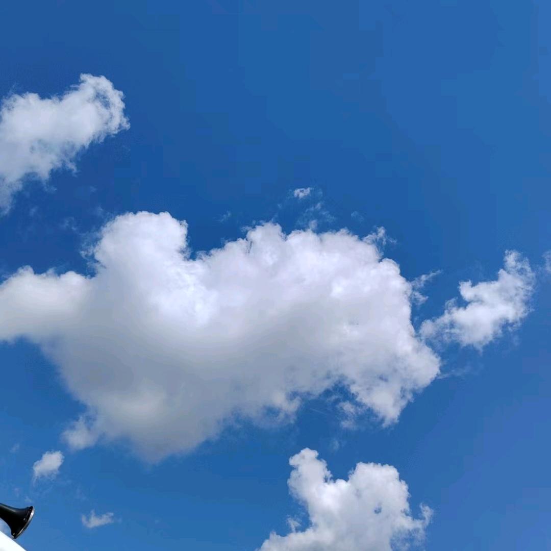 帘帘不舍馨雅静窗帘