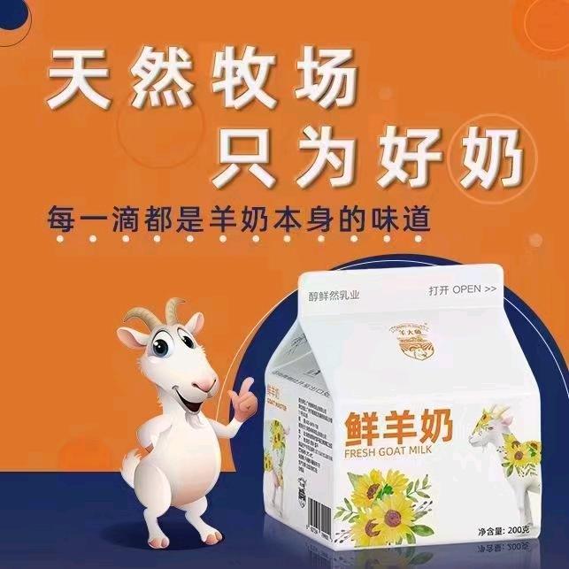 羊大师巴氏鲜羊奶配送