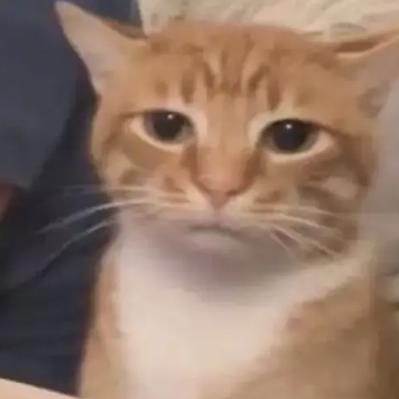 浮生若梦  为欢几何