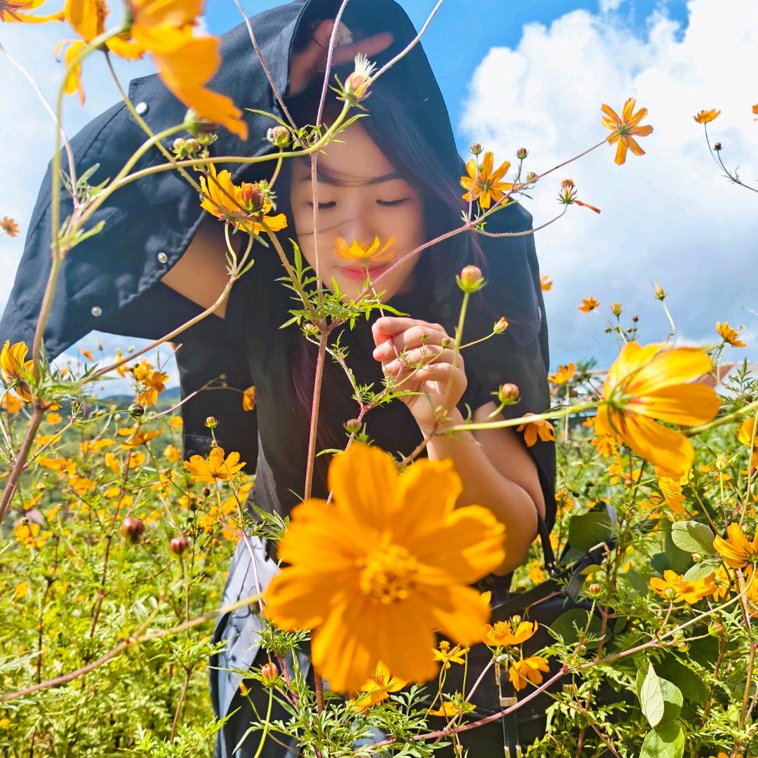 白首不相离ရှန်ခမ်း